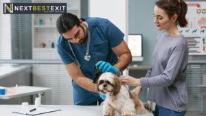 The Do's and Don'ts of Selling Your Veterinary Practice